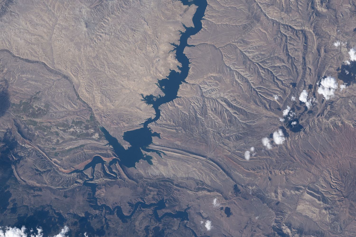 The branching blue water of Flaming Gorge seen from orbit across the tan desert of the Wyoming and Utah line.