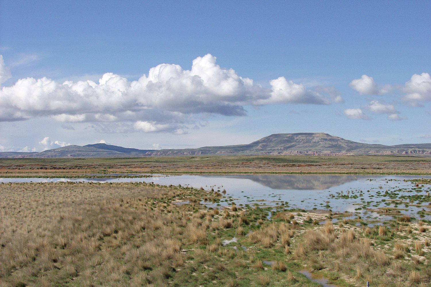 An ephemeral wetland in the Red Desert with a flat topped mesa on the horizon.